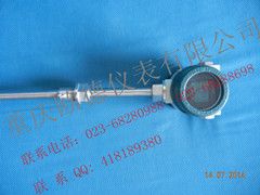 一体化温度变送器