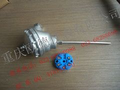 一体化温度变送器