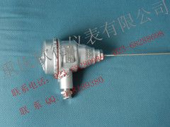 隔爆防爆热电阻
