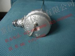 隔爆(防爆)热电偶